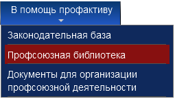 Профсоюзная библиотека